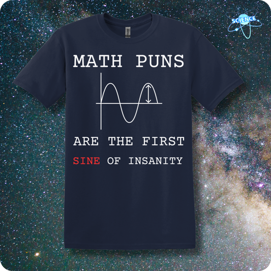 Math Puns Are The First Sine Of Insanity