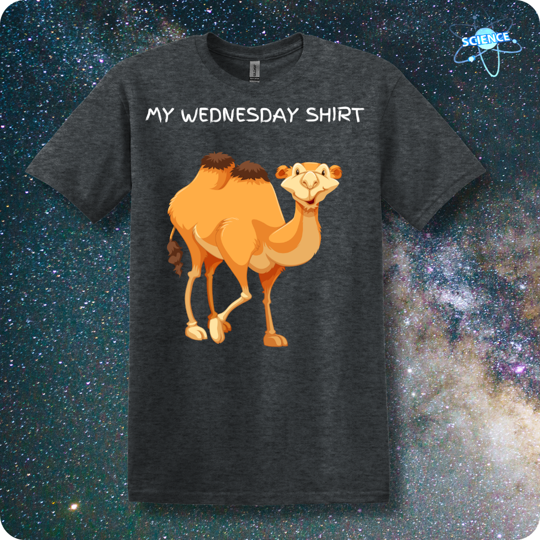 My Wednesday Shirt