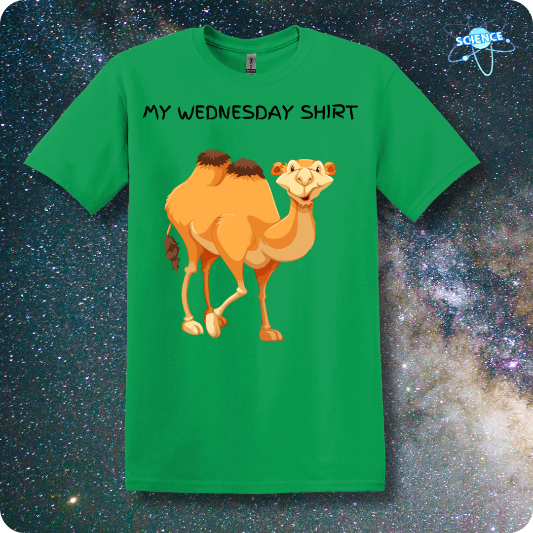 My Wednesday Shirt